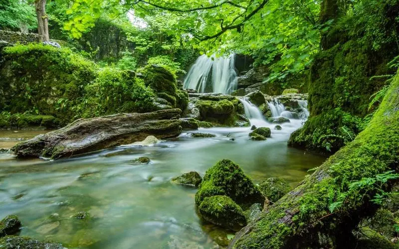 高精度电子高性能